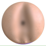 Мастурбатор Fleshlight Boost Blast Female, телесный 810476011321